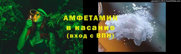 шишки Бородино